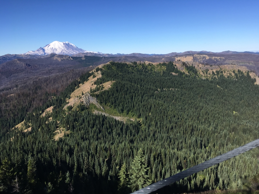 View of Mt Rainer from Raven Roost